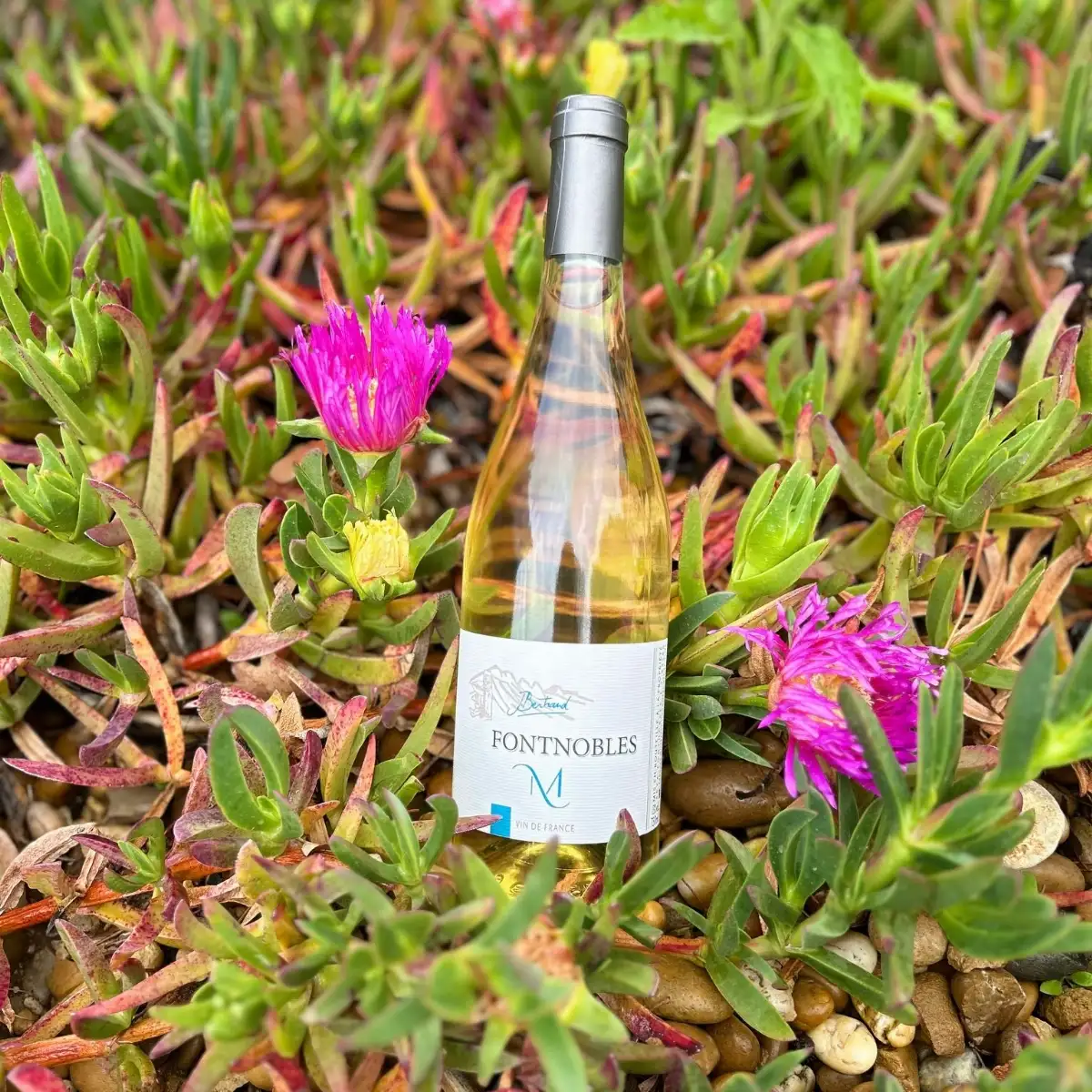 VSIG BLANC "M" - sec