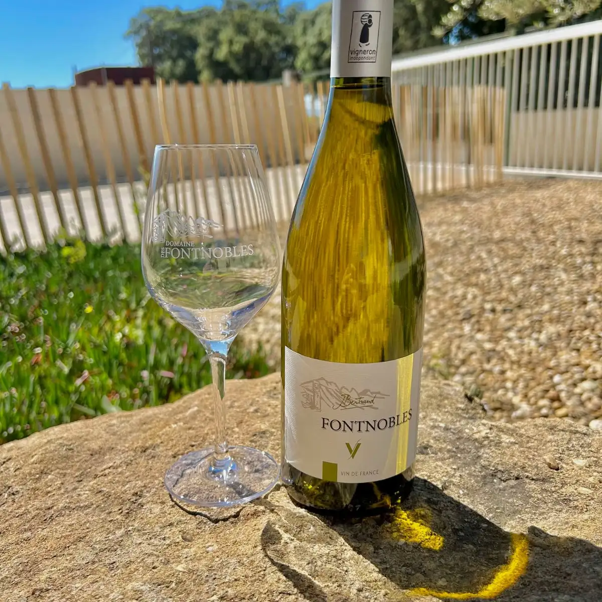 VSIG BLANC  "V" - sec